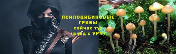 герыч Алексеевка