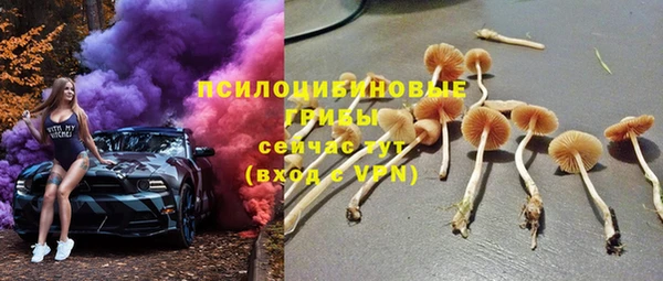 мяу мяу мука Алексин